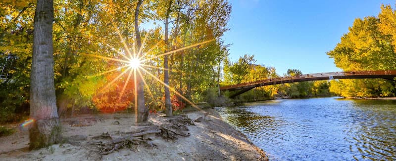 Idaho Insurance Agency LLC cover photo