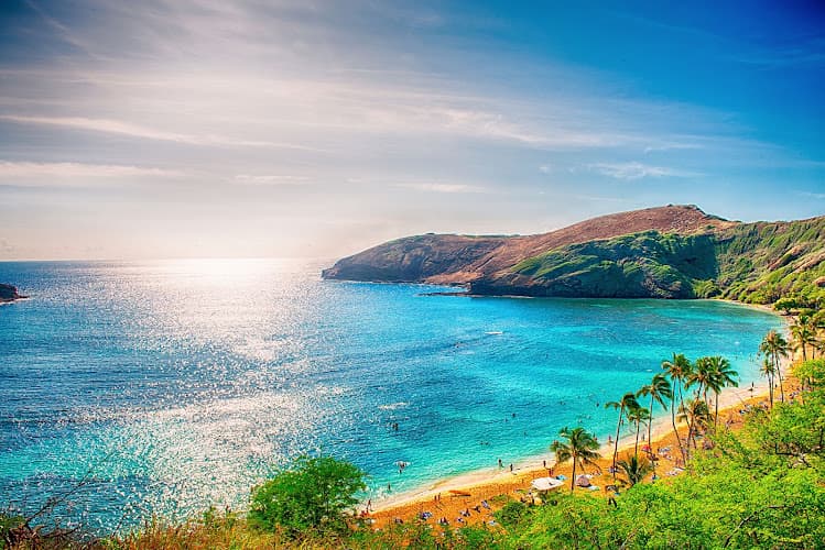 Proinsurance Hawaii cover photo
